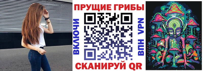 Галлюциногенные грибы прущие грибы  Элиста 